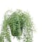 18" Potted Rosemary Plant by Ashland®